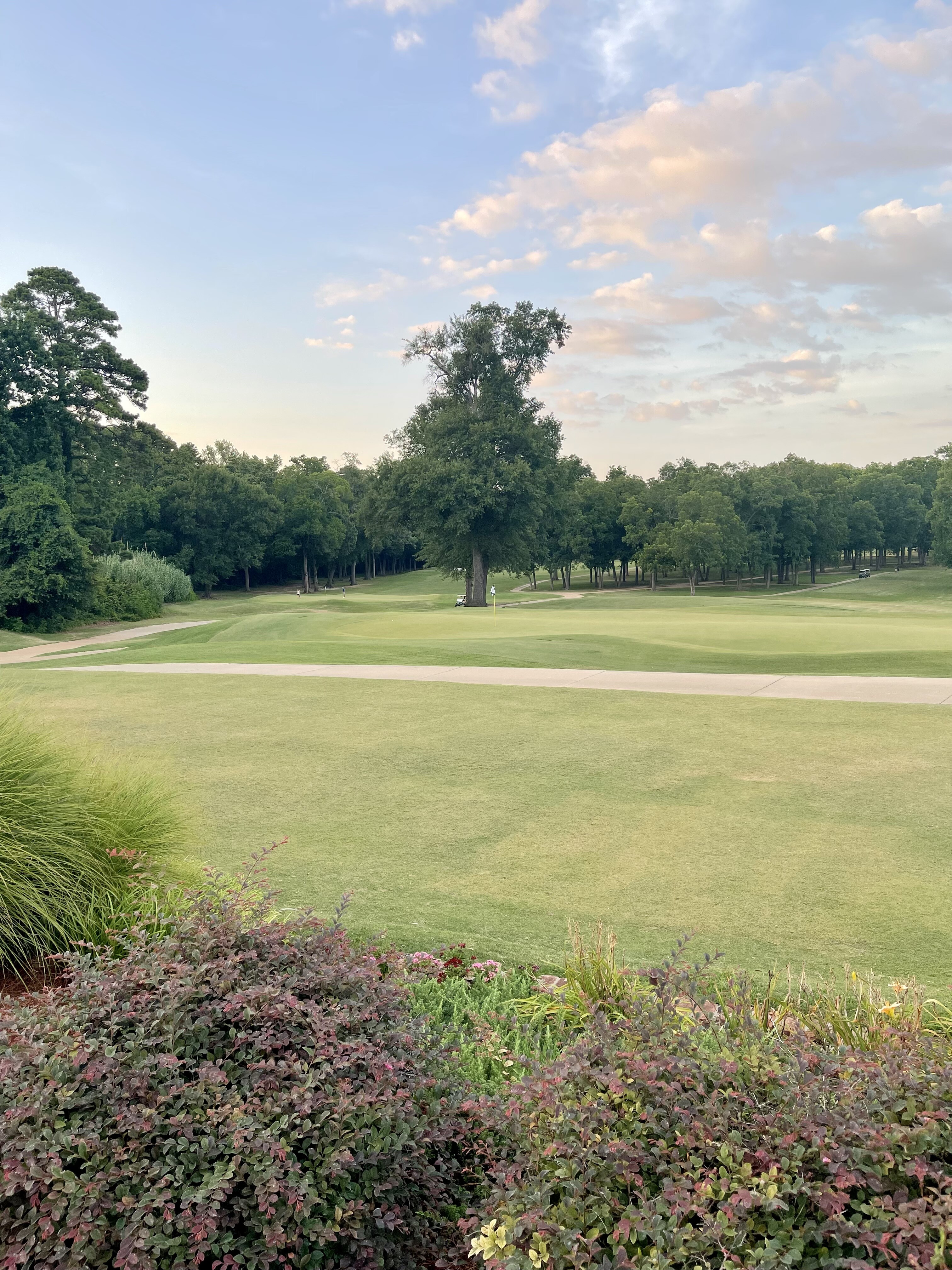 Louisiana Junior Amateur Championships begin today at East Ridge CC